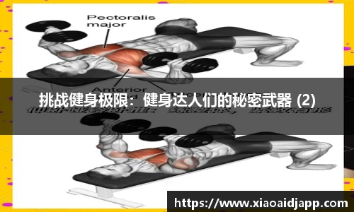 挑战健身极限：健身达人们的秘密武器 (2)