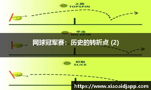 网球冠军赛：历史的转折点 (2)