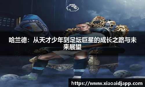 哈兰德：从天才少年到足坛巨星的成长之路与未来展望
